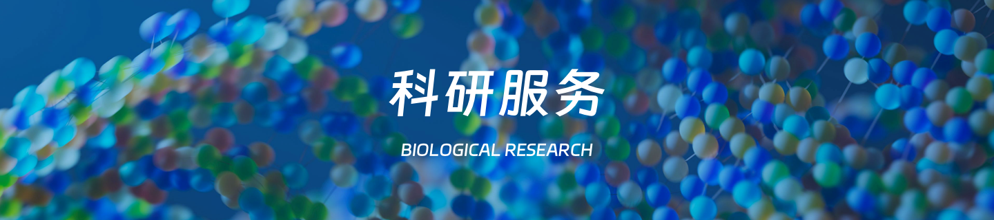 CMS,免费CMS,免费开源Java CMS,CMS系统,Java CMS,CMS内容管理系统,企业CMS,HTML网页模板,CMS模板,CMS源码,网站源码,信创系统软件,安可系统,网站建设,模板网站,建站模板,建站工具,建站平台,建站工具