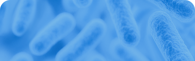 结核/非结核分枝杆菌鉴定及耐药性