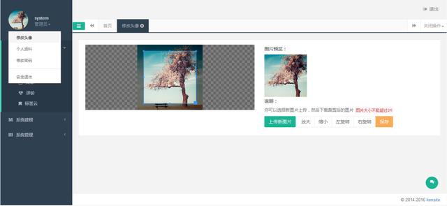国内有哪些较好的Java开源CMS建站系统?