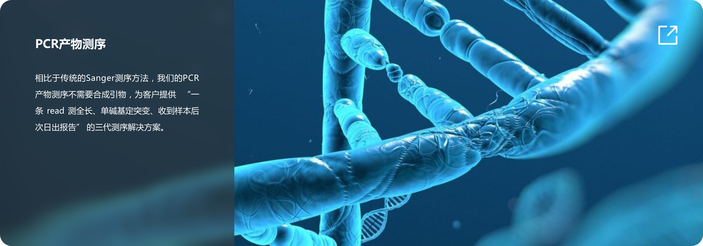 产品及解决方案-三代测序-科研-pcr产物.png