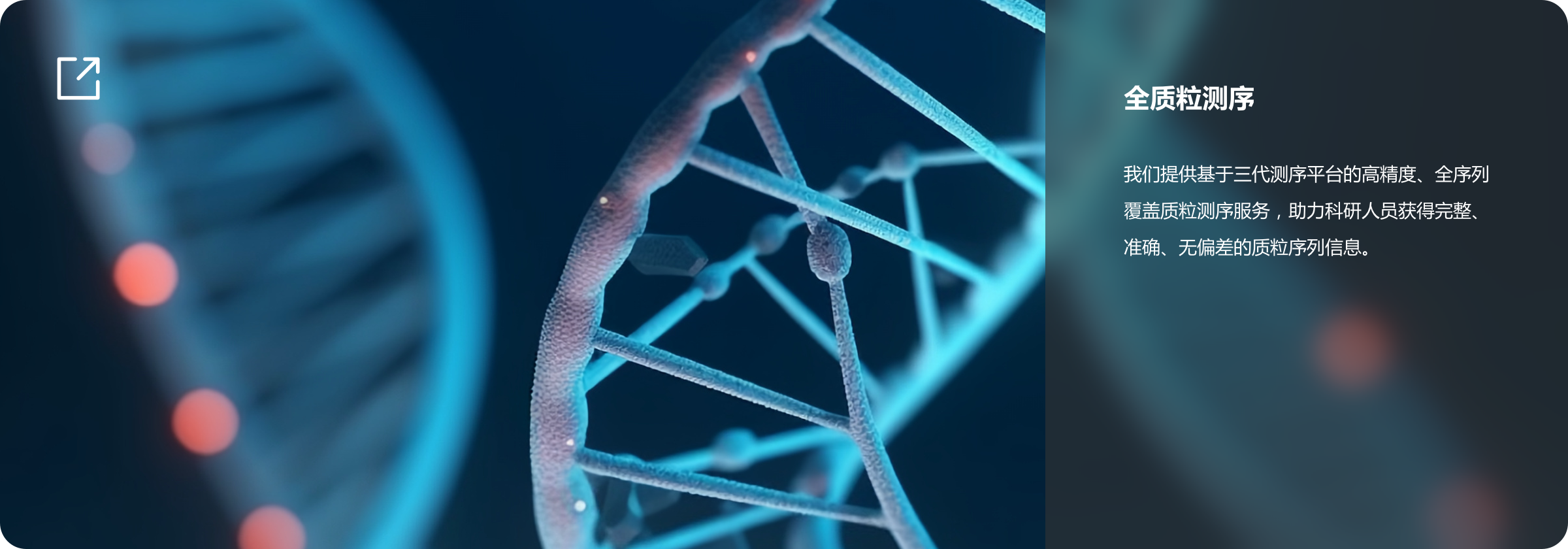 产品及解决方案-三代测序-科研-全质粒.png