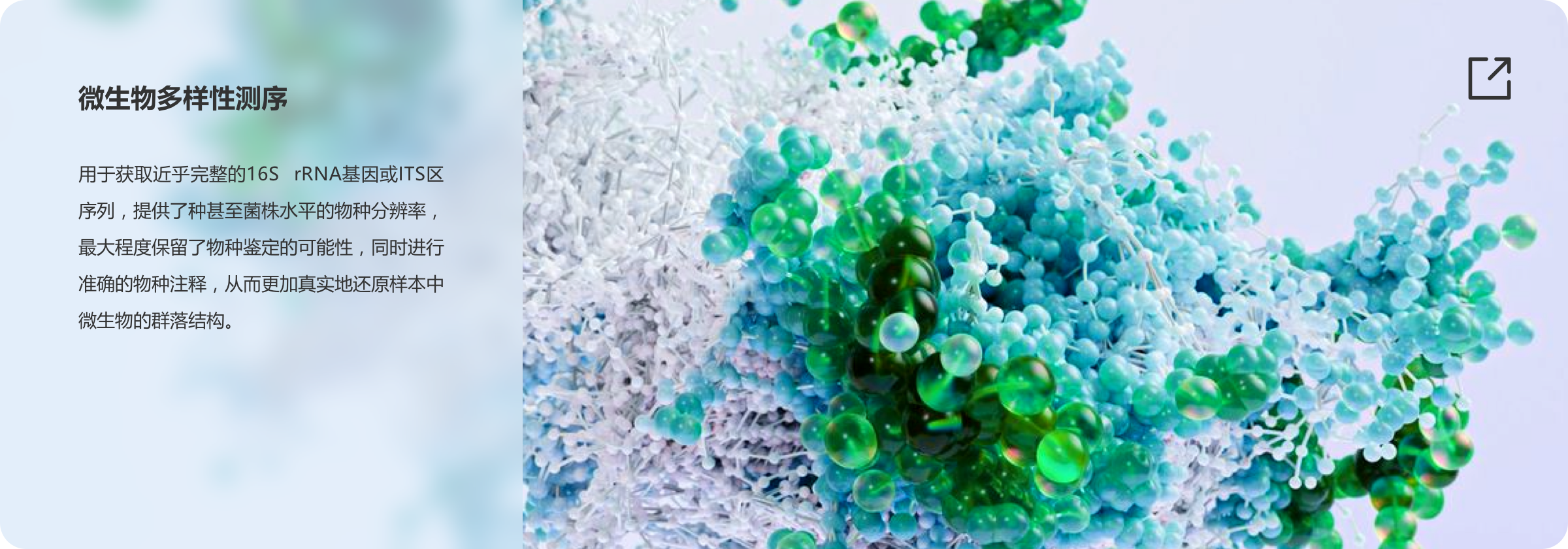 产品及解决方案-三代测序-科研-微生物多样性.png